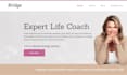design life coaching website, consulting website, business coaching website