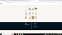 build,rebuild wordpress website, and  design,redesign woocommerce store