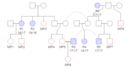 perform genetics pedigree analysis