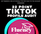 tiktok and instagram profile audit