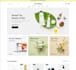 customize and develop stunning e commerce website in shopify