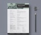 deliver professional job winning resume