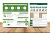 do illustrated graphic design, flow chart, infographic design