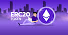 setup your bep20, erc20, meme token as crypto payment on your website