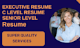 write executive resume c level cv writing executive resume