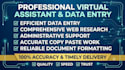 be your professional virtual assistant
