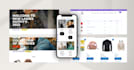 develop a responsive ecommerce wordpress website