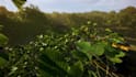 make realistic 3d forest scene in unreal engine 5