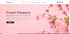 design a front end website which includes html and CSS