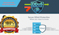protect your website cyber attacks and ddos from hacker