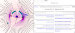 develop an interactive data visualization or dashboard with svg, d3, other