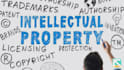 provide intellectual property services