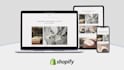 professional shopify expert for seamless ecommerce solutions
