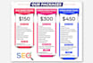 provide monthly off page SEO and backlink building service