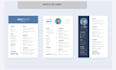 design professional resume and  CV design