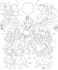 draw professional high quality custom vector line art illustrations