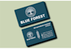 do professional and luxury business card design