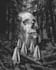 create dark collage art