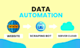do custom python web scraping and web automation