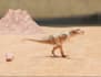 do 3d video animation for you