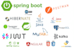 develop custom API, full stack website as java developer in spring, angular