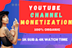 do your youtube channel monetization requirements complete