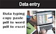 do data entry copy paste pdf to excel
