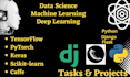 do data science, machine learning, deep learning and computer vision tasks
