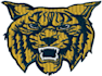 l do embroidery digitizing in tajima pulse for pxf,dst