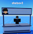 make you a professional roblox system