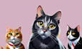 make your pet cartoon