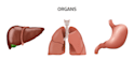 draw original scientific and medical illustration
