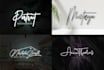 signature or scripted, handwritten logo