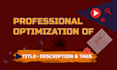 rank youtube video SEO marketing with organic promotion and channel optimization