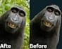cut out image backround removal professional