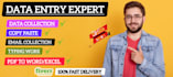 data entry, manual typing, copy paste and pdf to word, excel