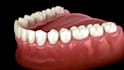 create a premium dental video, 3d medical animation, surgery animation