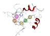 do all bioinformatics analysis related to computational drug design