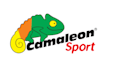 develop and revamp an awesome chameleon logo within 24 hours