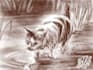 draw your very cute pet