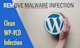 remove malware clean hacked wordpress site create backup