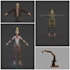 do 3d character rigging in maya and blender