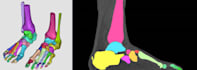 do medical image labeling,annotation,segmentation