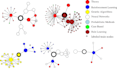 do graph analysis, algorithms, social networks and graph neural networks