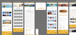 provide angular web application development services