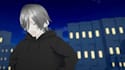 make 3d anime style animation or 3d animation