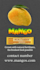 design a professional business card