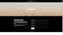 create a professional wordpress website