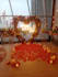 do video editing of a beautiful marriage proposal