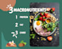 make canva design graphics
